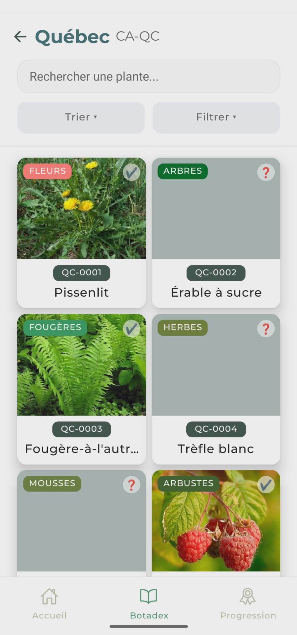 Écran catalogue Botadex